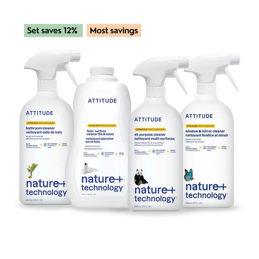 Clean Home Starter Set