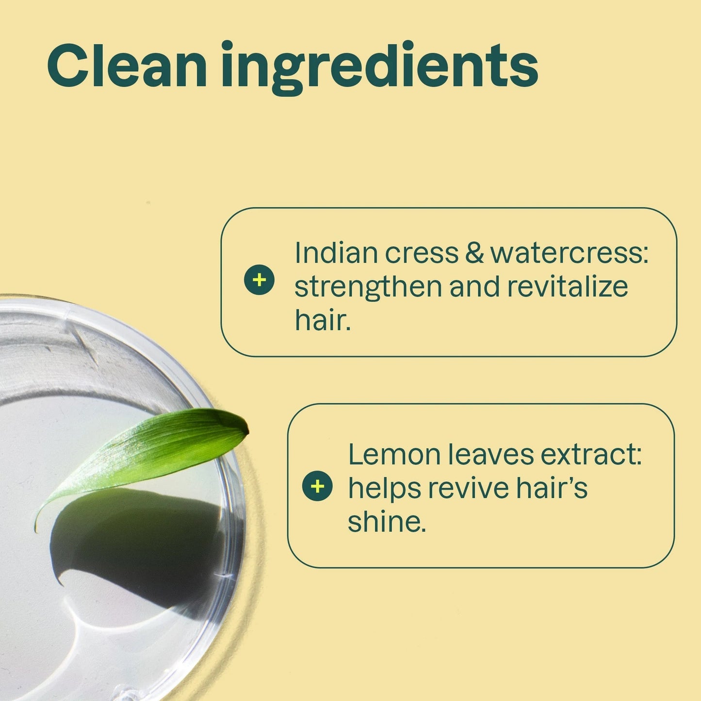 Super leaves™ Clarifying Conditioner - Lemon Leaves & White Tea, 240ml